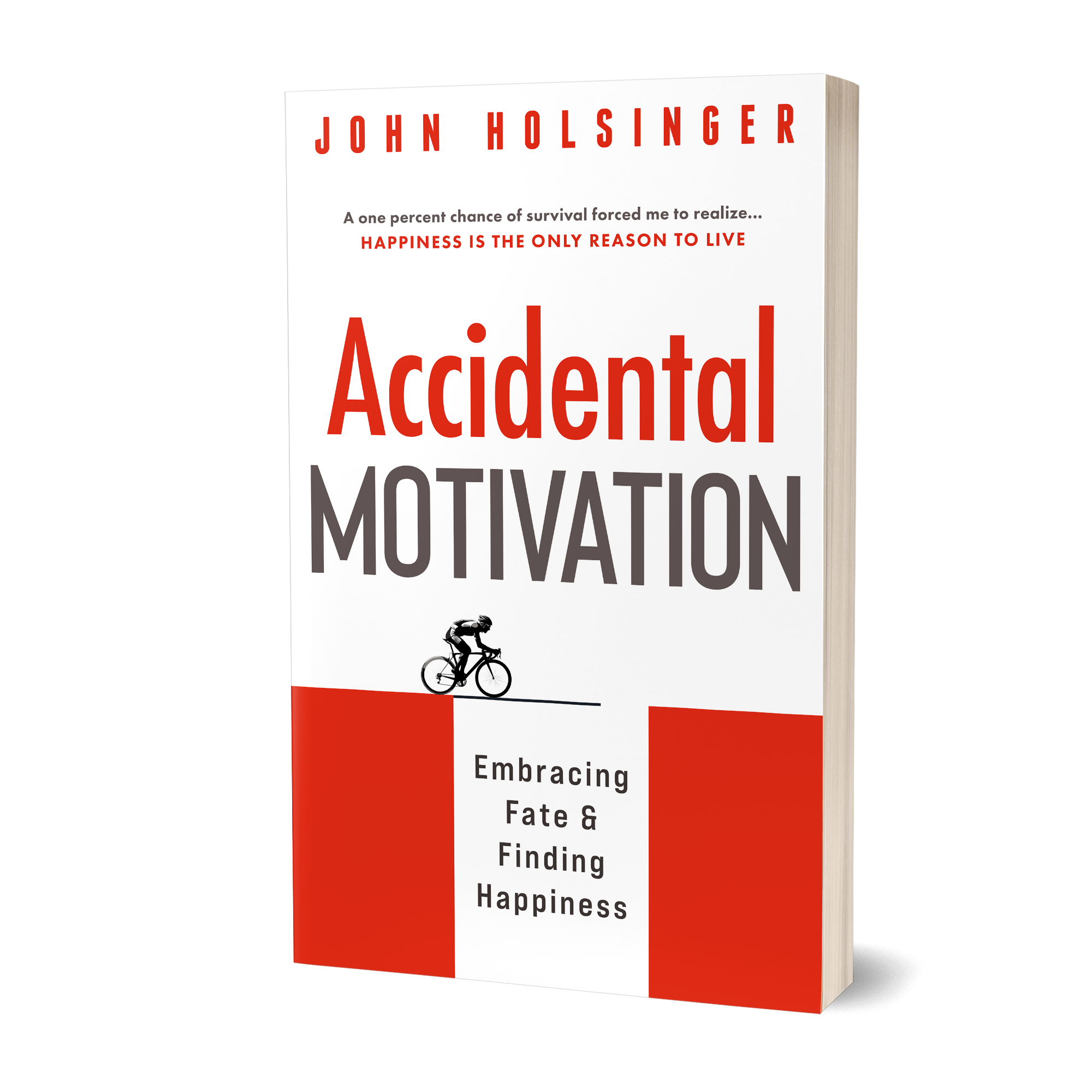 Accidental Motivation book